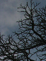 Výřez (R), 1/1250 s, f/6.30, ISO: 80, Ohnisková vzdálenost: 7.40 mm