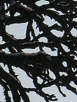 Výřez (R), 1/1250 s, f/6.30, ISO: 80, Ohnisková vzdálenost: 44.40 mm