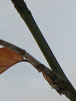 Výřez (R), 1/100 s, f/3.50, ISO: 80, Ohnisková vzdálenost: 21.97 mm