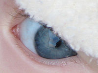 Výřez (R), 1/13 s, f/4.80, ISO: 80, Ohnisková vzdálenost: 44.40 mm