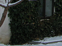 Výřez (R), 1/400 s, f/4.00, ISO: 80, Ohnisková vzdálenost: 7.40 mm