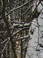 Výřez (R), 1/125 s, f/4.00, ISO: 80, Ohnisková vzdálenost: 7.40 mm