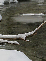 Výřez (R), 1/125 s, f/4.00, ISO: 80, Ohnisková vzdálenost: 7.40 mm