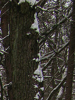 Výřez (R), 1/125 s, f/4.00, ISO: 80, Ohnisková vzdálenost: 7.40 mm