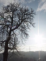 Náhled | Petr Koritina Náhled