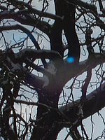 Výřez (R), 6.70 mm, 1/1000 s, f/6.30, ISO: 80 | Petr Koritina Výřez (R), 6.70 mm, 1/1000 s, f/6.30, ISO: 80