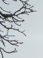 Výřez (R), 20.10 mm, 1/1000 s, f/8.00, ISO: 80 | Petr Koritina Výřez (R), 20.10 mm, 1/1000 s, f/8.00, ISO: 80