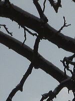 Výřez (R), 20.10 mm, 1/1000 s, f/8.00, ISO: 80 | Petr Koritina Výřez (R), 20.10 mm, 1/1000 s, f/8.00, ISO: 80