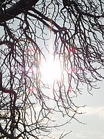 Náhled, 20.10 mm, 1/1000 s, f/8.00, ISO: 80 | Petr Koritina Náhled, 20.10 mm, 1/1000 s, f/8.00, ISO: 80