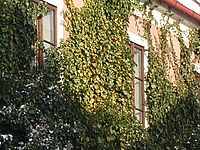 Výřez (R), 6.70 mm, 1/400 s, f/3.50, ISO: 80 | Petr Koritina Výřez (R), 6.70 mm, 1/400 s, f/3.50, ISO: 80