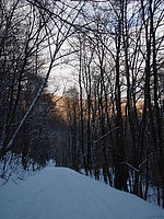 Originál (R), 6.70 mm, 1/160 s, f/3.50, ISO: 80 | Petr Koritina Originál (R), 6.70 mm, 1/160 s, f/3.50, ISO: 80