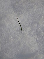 Náhled | Petr Koritina Náhled