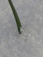 Výřez (R), 9.13 mm, 1/320 s, f/6.30, ISO: 80 | Petr Koritina Výřez (R), 9.13 mm, 1/320 s, f/6.30, ISO: 80