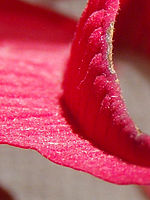 Výřez (R), 9.13 mm, 1/2 s, f/4.00, ISO: 80 | Petr Koritina Výřez (R), 9.13 mm, 1/2 s, f/4.00, ISO: 80