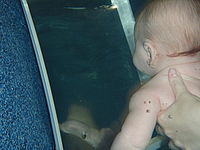 Náhled, 6.70 mm, 1/30 s, f/3.50, ISO: 100 | Petr Koritina Náhled, 6.70 mm, 1/30 s, f/3.50, ISO: 100