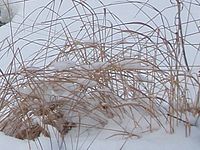 Výřez (R), 6.70 mm, 1/100 s, f/3.50, ISO: 80 | Petr Koritina Výřez (R), 6.70 mm, 1/100 s, f/3.50, ISO: 80