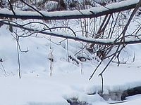 Výřez (R), 6.70 mm, 1/100 s, f/3.50, ISO: 80 | Petr Koritina Výřez (R), 6.70 mm, 1/100 s, f/3.50, ISO: 80