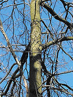 (R) Výřezy, 1/227 s, f/4.11,ISO: 64, Blesk: Ne, Ohnisková vzdálenost: 5.90 mm 