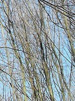 (R) Výřezy, 1/227 s, f/4.11,ISO: 64, Blesk: Ne, Ohnisková vzdálenost: 5.90 mm 