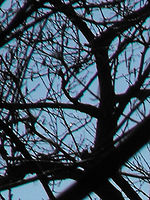 (R) Výřezy, 1/769 s, f/6.62,ISO: 64, Blesk: Ne, Ohnisková vzdálenost: 70.80 mm 