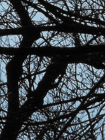 (R) Výřezy, 1/769 s, f/6.62,ISO: 64, Blesk: Ne, Ohnisková vzdálenost: 70.80 mm 