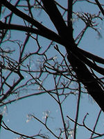 (R) Výřezy, 1/1250 s, f/6.62,ISO: 64, Blesk: Ne, Ohnisková vzdálenost: 70.80 mm 