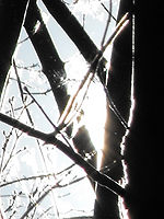 (R) Výřezy, 1/1250 s, f/6.62,ISO: 64, Blesk: Ne, Ohnisková vzdálenost: 70.80 mm 