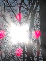 Náhled, 1/2000 s, f/7.99,ISO: 64, Blesk: Ne, Ohnisková vzdálenost: 70.80 mm 