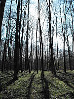 (R), 1/345 s, f/4.11,ISO: 64, Blesk: Ne, Ohnisková vzdálenost: 5.90 mm 