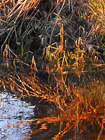 (R) Výřezy, 1/217 s, f/3.5,ISO: 200, Blesk: Ne, Ohnisková vzdálenost: 36.90 mm 