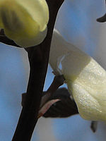 (R) Výřezy, 1/667 s, f/2.87,ISO: 64, Blesk: Ne, Ohnisková vzdálenost: 5.90 mm 