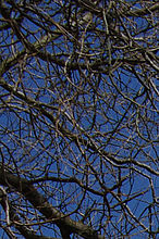 Výřez (R), 1/350 s, Clona: 8.0, , Ohnisková vzdálenost (EQ35mm): 67 mm, , ISO: 100