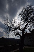 Protisvětlo, 1/2500 s, Ohnisková vzdálenost (EQ35mm): 24 mm 