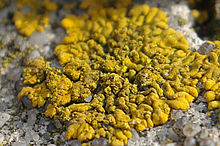 Výřez (R), 1/125 s, Clona: 8.0, , Ohnisková vzdálenost (EQ35mm): 67 mm, , ISO: 100