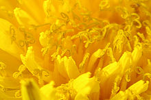 Výřez (R), 1/125 s, Clona: 8.0, , Ohnisková vzdálenost (EQ35mm): 67 mm, , ISO: 100