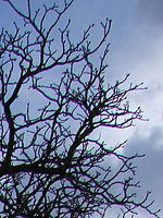 Výřez (R), 1/400 s, Clona: 5.0, ISO: 100, Ohnisková vzdálenost: 7.10 mm