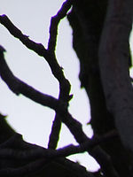 Výřez (R), 1/300 s, Clona: 6.4, ISO: 100, Ohnisková vzdálenost: 101.50 mm