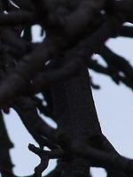 Výřez (R), 1/300 s, Clona: 6.4, ISO: 100, Ohnisková vzdálenost: 101.50 mm