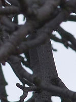 Výřez (R), 1/300 s, Clona: 6.4, ISO: 100, Ohnisková vzdálenost: 101.50 mm