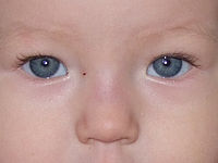 Výřez (R), 1/90 s, Clona: 3.7, ISO: 100, Ohnisková vzdálenost: 21.00 mm