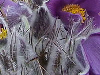 Výřez (R), 1/420 s, Clona: 8.0, ISO: 400, Ohnisková vzdálenost: 7.10 mm