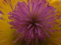 Výřez (R), 1/200 s, Clona: 8.0, ISO: 400, Ohnisková vzdálenost: 7.10 mm