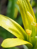 Výřez (R), 1/800 s, Clona: 5.0, ISO: 400, Ohnisková vzdálenost: 7.10 mm