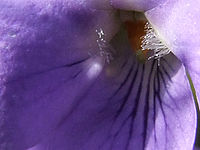 Výřez (R), 1/500 s, Clona: 5.6, ISO: 400, Ohnisková vzdálenost: 7.10 mm