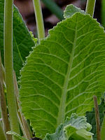 Výřez (R), 1/640 s, Clona: 3.6, ISO: 200, Ohnisková vzdálenost: 19.90 mm