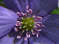 Výřez (R), 1/280 s, Clona: 2.8, ISO: 100, Ohnisková vzdálenost: 7.10 mm