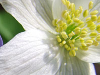 Výřez (R), 1/280 s, Clona: 2.8, ISO: 100, Ohnisková vzdálenost: 7.10 mm