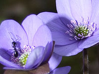 Výřez (R), 1/1000 s, Clona: 3.2, ISO: 100, Ohnisková vzdálenost: 11.70 mm