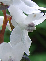 Výřez (R), 1/100 s, Clona: 2.8, ISO: 100, Ohnisková vzdálenost: 7.10 mm