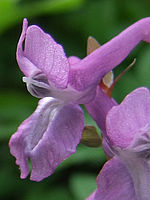 Výřez (R), 1/100 s, Clona: 2.8, ISO: 100, Ohnisková vzdálenost: 7.10 mm